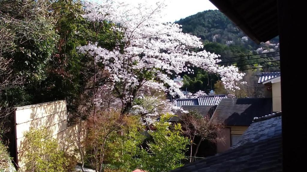 金閣荘 Hotel Kyoto Exterior photo